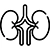 Urology icon